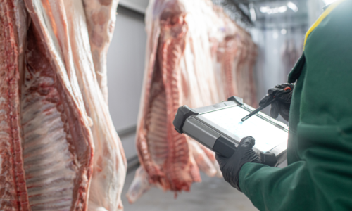 Sécurité Alimentaire